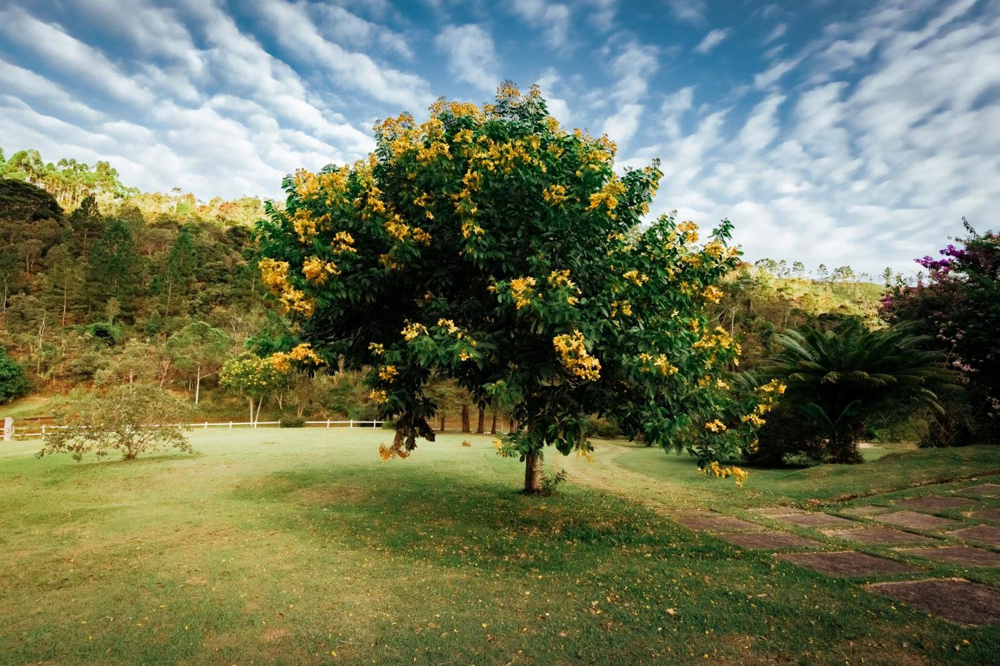 Vila Sítio D Ouro Marechal Floriano Exteriér fotografie